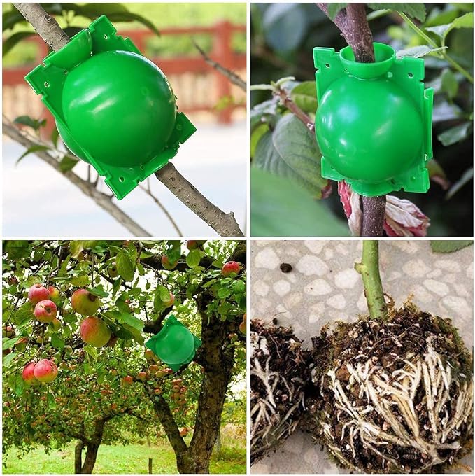 Air layering pods, Reusable Plant Rooting Device Plant Rooting Grow Box High Pressure Propagation Ball Grafting Device Botany Root Controller Garden Plant Rooter Box (Medium(3.1″×6PCS),Green)