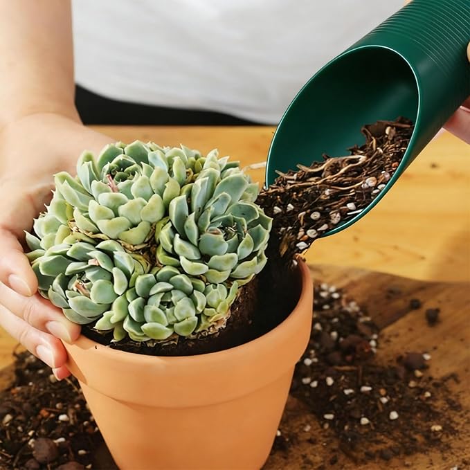 1 Pcs Bonsai Soil Scoops Plastic Garden Shovels Garden Tool, Colorful Mini Potting Scoops for Plant Succulent, Lightweight and Stable Design for Easy Gardening and Transplanting Tasks (Green)