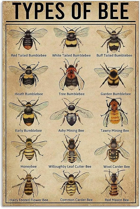 15 Types of Bee Retro Garden Metal Tin Sign Kitchen Restaurant Farm Shopping Mall Bar Cafe Man Cave Farm Wall Decoration Iron Painting Metal Plate 8x12inch
