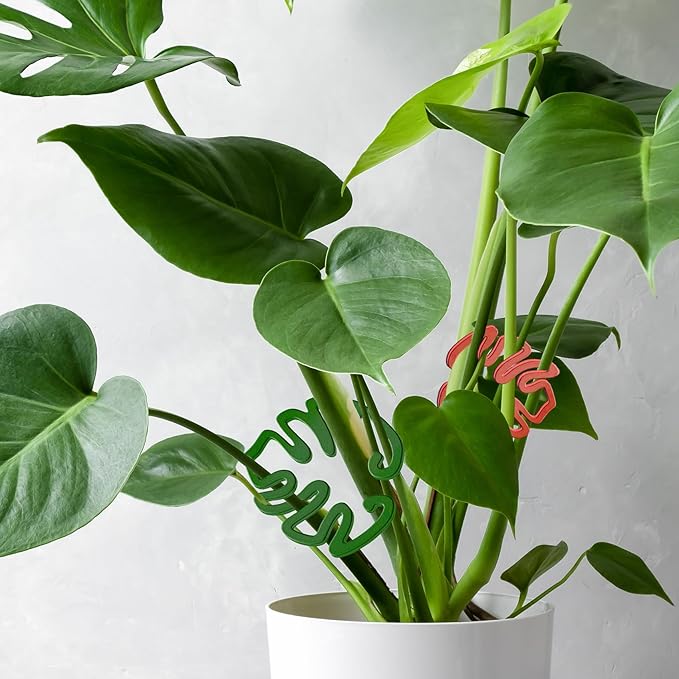 2PACKS Unique & Aesthetic Monstera Leaf Shape Grapple Plant Support, Grappler Rings, Plant Support Monstera with Ties, Keeps Plants Tame & Growing Vertical (Black)