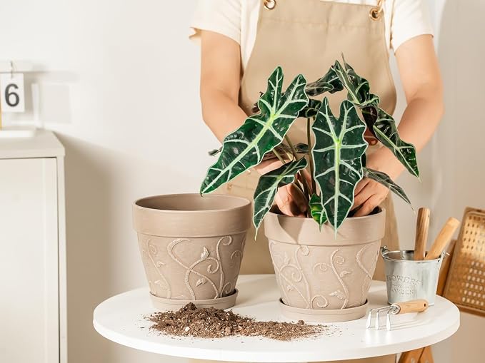 Melphoe Plastic Plant Pots Indoor with Drainage & Saucer, 2Pack 8 inch Flower Pots Outdoor Planters for Indoor Plants Garden Home Decor Cactus Succulent, (NOT-Terracotta) Vine-Embossed
