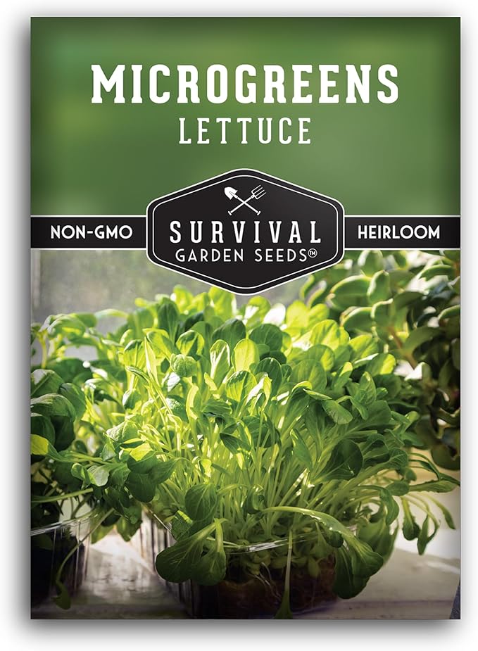 Lettuce Microgreens Seeds for Planting - Non-GMO Heirloom Lettuce Variety to Grow Crisp, Tender Microgreens - Indoors or Hydroponic - Fast Germination, Mild Flavor - Survival Garden Seeds (1 Pack)