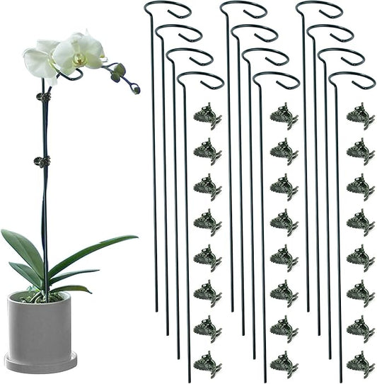 12 Pack Plant Support Stakes with 24 Pcs Plant Clips, Garden Single Stem Support Stake, Plant Cage Support Ring for Indoor Outdoor Flowers Rose Amaryllis Tomatoes Peony Lily Orchid (16 Inch)