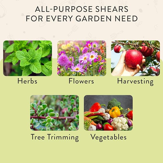 Modern Sprout Pruning Shears - Herb Snipping Scissors- Lightweight Gardening Tools W/Easy Lock- Flower Cutter Garden Shears-Gift for Father's Day-Carbon Steel Blade+Reusable Holster(Chartreuse,1-Pack)