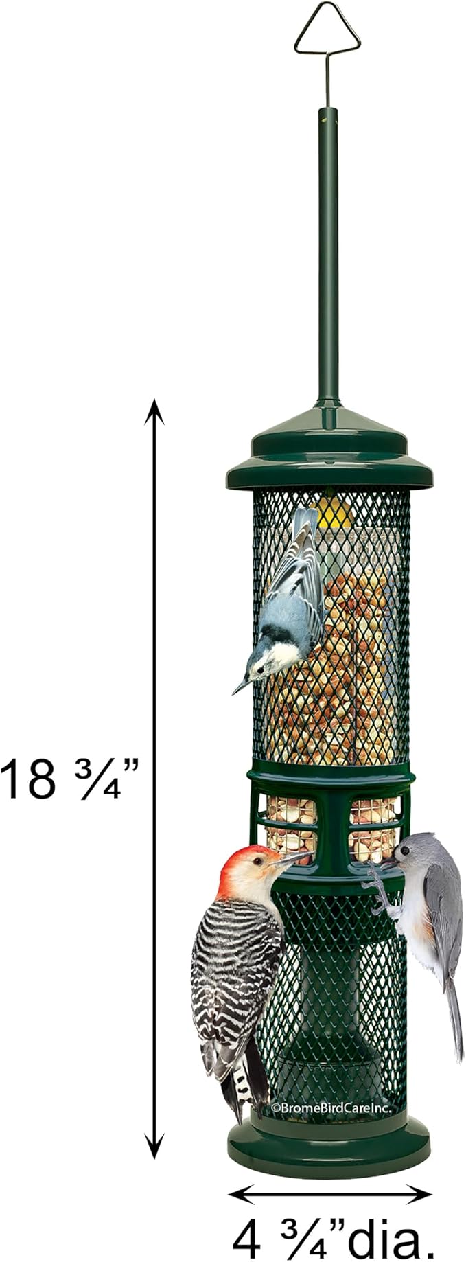 Squirrel Buster Nut Feeder Squirrel-Proof Bird Feeder for Shelled Peanuts & Dried Fruit, Weight-Adjustable, Woodpecker Friendly, 1.3lb Capacity with 2 Interchangeable Meshes