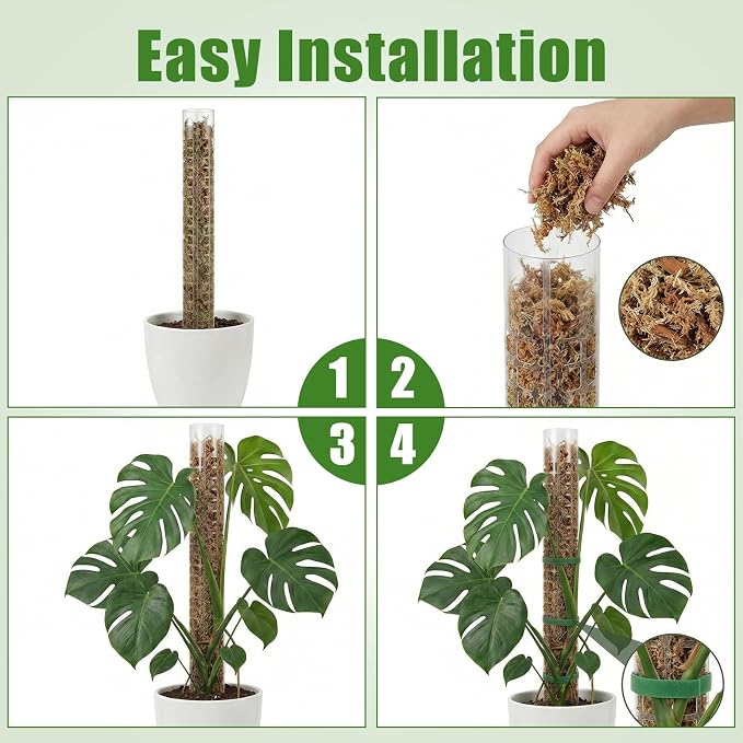 6 Pcs Plastic Moss Pole for Monstera 6×24'' Plant Poles for Climbing Plants Shaped Plant Support Indoor Use with Sphagnum Moss for Climbing Plants Work 24 Inch