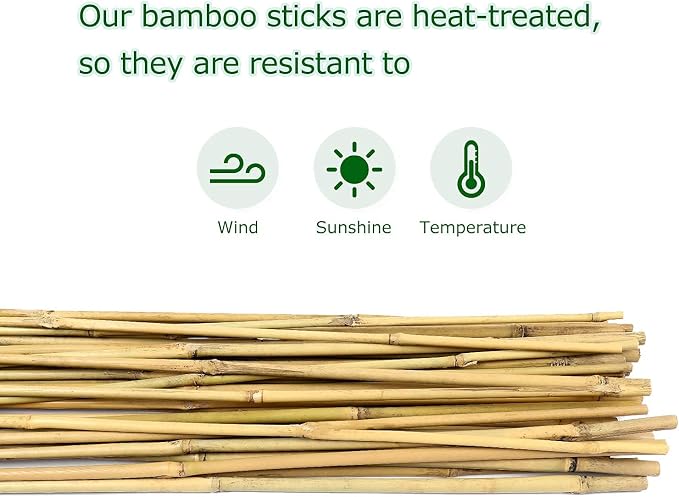 Cambaverd 6ft Bamboo Garden Stakes Eco-Friendly Plant Stakes 6 Feet, Bamboo Poles for Tomatoes Beans Climbing Plants Support - Pack of 20 Bamboo Stakes