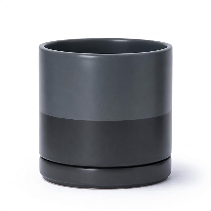 D'vine Dev 8 Inch Ceramic Planter Pot with Drainage Hole and Saucer, Indoor Cylinder Round Planter Pot, Slate, 94-O-D-5
