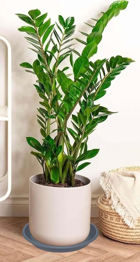 2 Pack of 16 inch Plant Saucer, Large Plant Tray, Heavy Sturdy Plant Drainage Tray for Indoors, Bird Bath Bowls, Sturdy 18 inch Plastic Pot Tray for Planter (Gray)