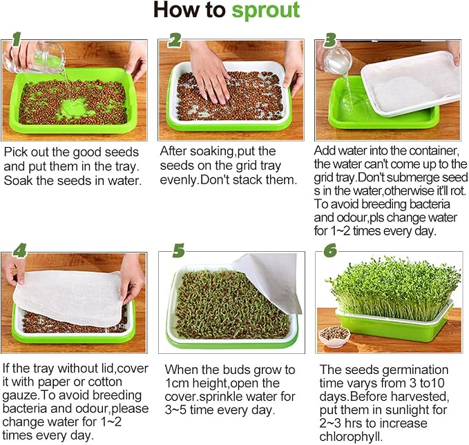 LeJoy Garden Seed Sprouter Tray BPA Free PP Soil-Free Big Capacity Healthy Wheatgrass Grower with Lid Sprouting Kit 13.4x9.84x4.72 inches