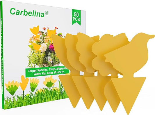 Gnat Sticky Traps for Plants, Fungus Gnat Trap, 50pcs Yellow Sticky Traps for Fruit Fly, Flying Insects, Bug, Waterproof, Non-Toxic Indoor Outdoor Use for Houseplants, Pots, Garden, Kitchen