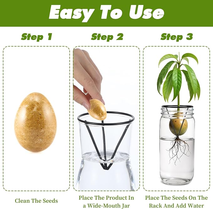 Tyqour 3 Pcs Avocado Tree Growing Kits - Avocado Seed Starter Vase Rack, Seed Holder for Mason Jar of Wide-Mouth, Triangular Metal Bracket for Home Office, Gardening Lovers Gift (Black,Without Jar)