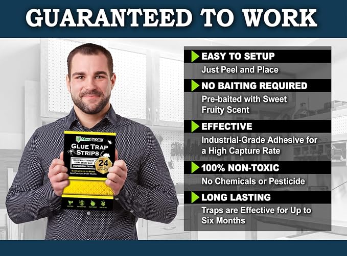 MaxGuard Glue Trap Strips (24 Traps) Non-Toxic Extra Sticky Glue Board Pre-Baited with Fruity Scent Attractant Trap & Kill Insects, Bugs, Spiders, Crickets, Scorpions, Cockroaches, Centipedes, Mice