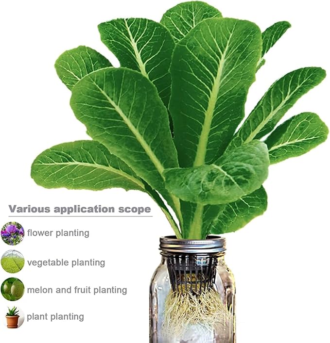 50PCS 1.75" Mesh Net Cup Pots Basket Hydroponics System Supplies Aquaponics Seed Growing Media Black