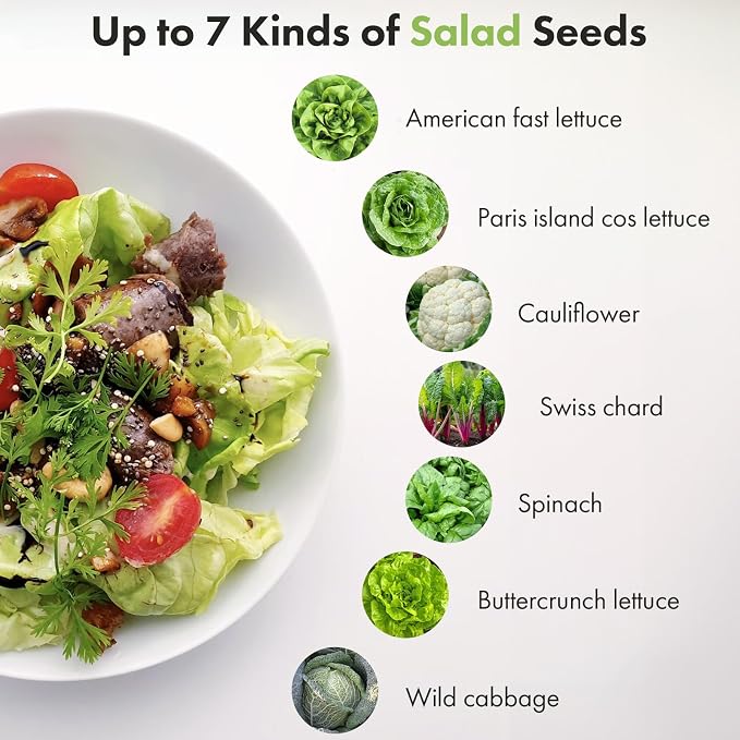 Lyko Heirloom Salad Greens Seed Pod Kit for AeroGarden, iDoo, Ahopegarden, GARDENCUBE, 7 Pods with American Fast/Paris Island/Buttercrunch Lettuce, Spinach, Swiss Chard, Cauliflower, Wild Cabbage
