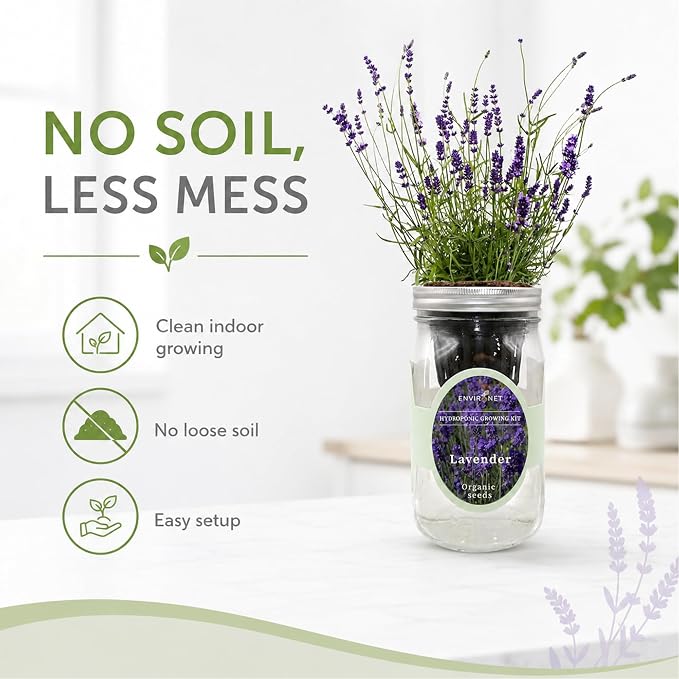 Hydroponic Herb Growing Kit, Self-Watering Mason Jar Herb Garden Starter Kit Indoor, Windowsill Herbs Garden, Grow Your Own Herbs from Organic Seeds (Lavender)