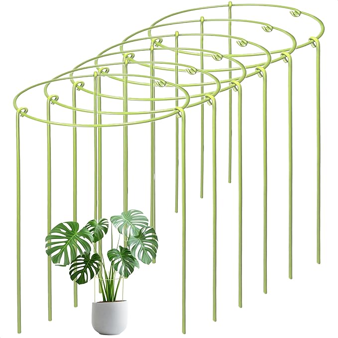 6-Pack Heavy Duty Plant Stakes and Supports for Indoor Outdoor Plants, Metal Support Stakes & Cage Rings, Ideal for Monstera, Peonies, Roses (8" W x 14" H)