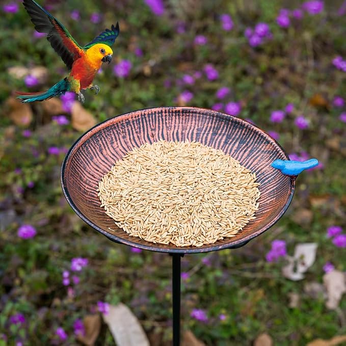 Metal Bird Bath for Outdoor,10" Wide Standing Frees Birdfeeder with Metal Stake,Vintage Bird Baths Feeder Bowl for Outdoors Garden Patio Yard Lawn Decor (Antique Bronze)