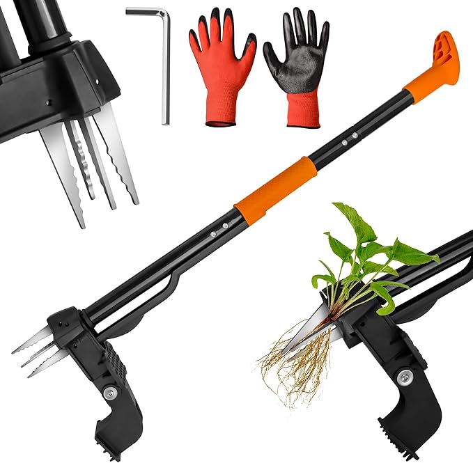Weed Puller Tool,4-Claw Heavy Duty Gardening Stand-Up Weeder Puller,Ergonomic Long Handle,3 High-Strength Stainless Steel Claws for Lawn Garden,Crabgrass,Dandelion,Thistle (Include gloves)