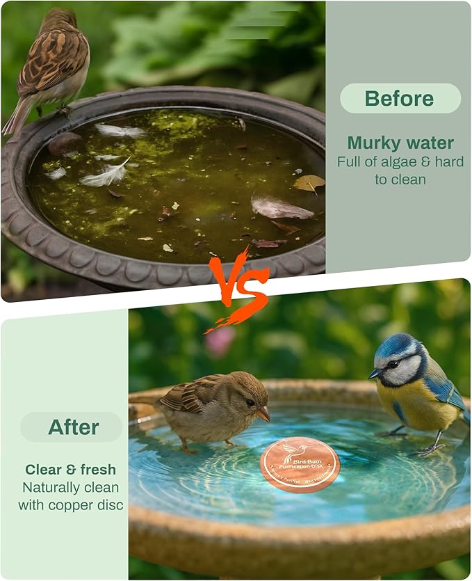 Bird Bath Purification Disc Pure Copper Outside Winter Solar Power Birdbath Humming Bee Water Fountain Window Feeder Stand Nectar Food Pole House Hanging Birdhouse Flowers Butterfly Accessories