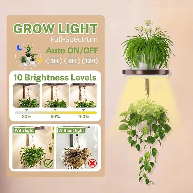 iDavosic.ly Wall Plant Holder with Grow Lights Set of 2 for Indoor Outdoor, Metal Hanger with 2 Hooks, Floating Flower Display Stand for Window, Space Saving & Easy to Assemble (Pots Not Included), Bronze