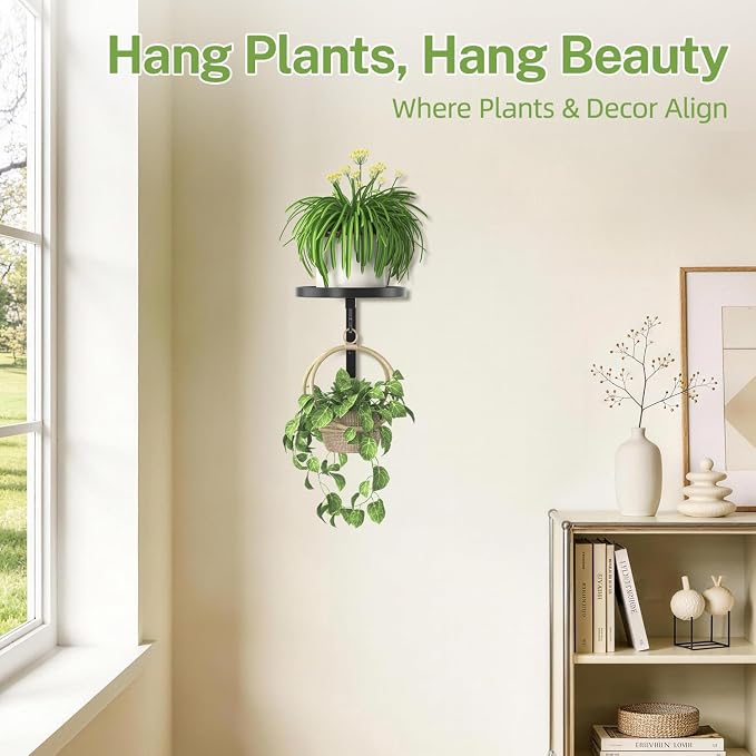 iDavosic.ly Wall Plant Holder for Indoor Outdoor, Metal Hanger with Hook, Floating Flower Display Stand for Window, Space Saving & Easy to Assemble (Pots/Chains/Plants Not Included), Black