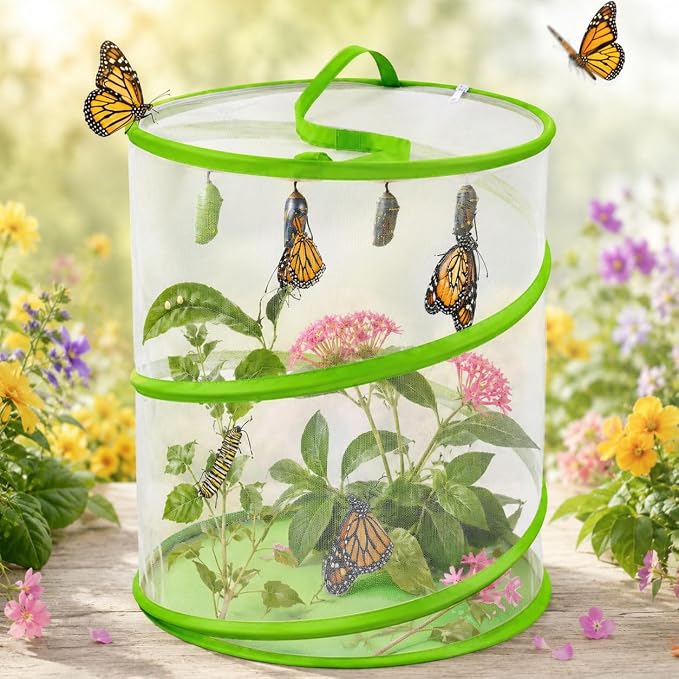 Butterfly Habitat Mesh Cage，12" x 14" Pop-up Breathable Insect Bug Net Butterflies Cage Tall (Green)