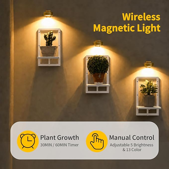 Wall Plant Holder with Grow Lights Set of 2 for Indoor Outdoor, Floating Flower Display Stand for Living Room, Bedroom, Bathroom, Kitchen, Entryway, White (3, White)