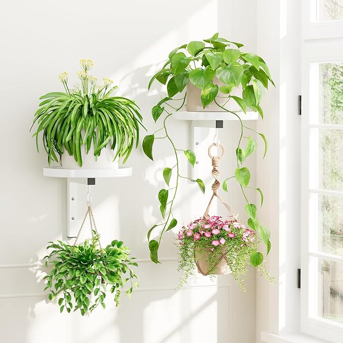 iDavosic.ly Wall Plant Holder Set of 2 for Indoor Outdoor, Metal Hanger with 2 Hooks, Floating Flower Display Stand for Window, Space Saving & Easy to Assemble (Pots/Chains/Plants Not Included), White