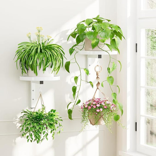 iDavosic.ly Wall Plant Holder Set of 2 for Indoor Outdoor, Metal Hanger with 2 Hooks, Floating Flower Display Stand for Window, Space Saving & Easy to Assemble (Pots/Chains/Plants Not Included), White