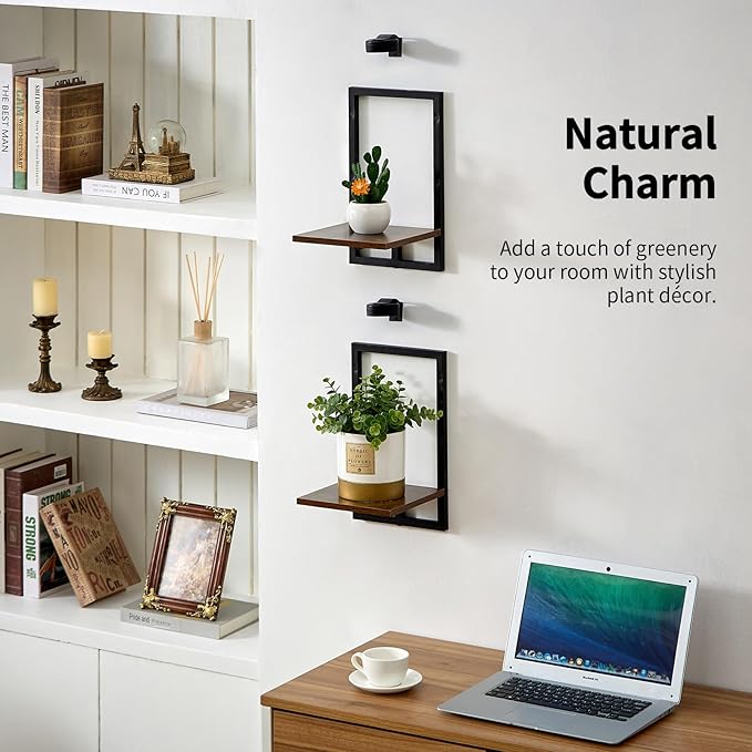 Floating Shelves for Plants with Grow Lights, Remote Control Indoor Plant Holder Stand for Bedroom, Living Room, Bathroom, Kitchen, Rustic Brown