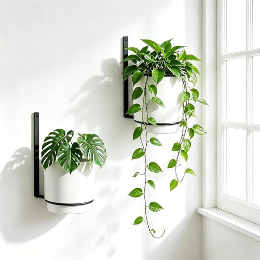 2 Pcs Wall Mounted Hanging Planter Vase for Indoor Outdoor Plants,Modern Metal Wall and Ceiling Hanging Flower Pot with Removable Flower Pot,Minimalist Decor for Herbs Succulents Flowers,5.9Inch,White