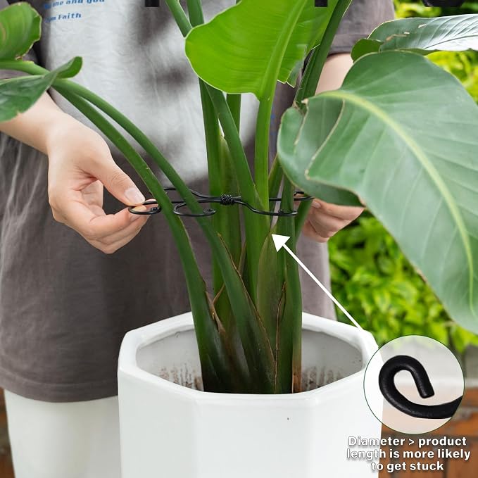 Yohsnor Black Monstera Plant Support Hook - 6.5 * 6.5IN -5 Piece Set, Durable Metal Stem Supports for Indoor Plants, Leaf Holder & Fishbone Cactus Stake, Stylish Design for Healthy Growth & Easy Care