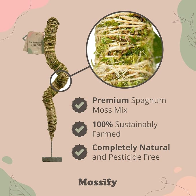 Mossify Bendable Moss Pole 54'' Monstera Plant Support for Climbing Indoor Plants - 100% Sustainably Farmed Moss Pole for Plants Indoor Growth - Flexible Handmade Sphagnum Plant Poles Support
