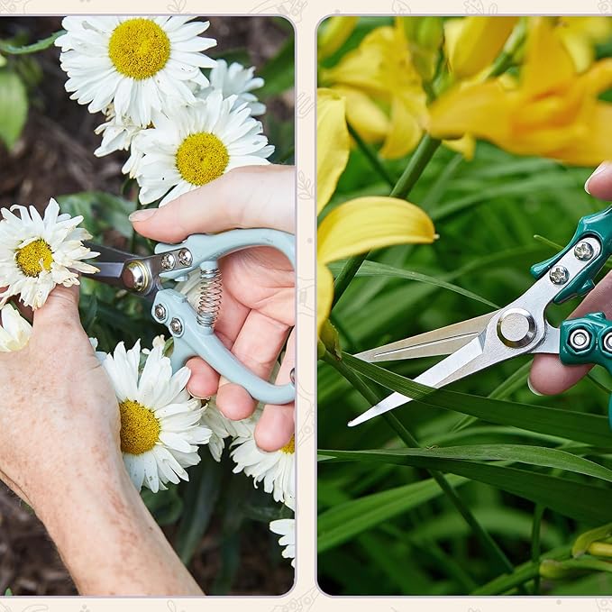 Modern Sprout Pruning Shears - Herb Snipping Scissors- Lightweight Gardening Tools W/Easy Lock - Flower Cutter Garden Shears-Gift for Father's Day-Carbon Steel Blade+Reusable Holster(Lavender, 1-Pack)