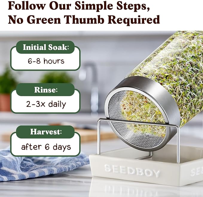 Seedboy Organic Non-GMO Broccoli Seeds for Sprouting - USA Grown Microgreens Sprouting Seeds - 8 oz Bag Makes 8 Quarts / 32 Servings (Broccoli)