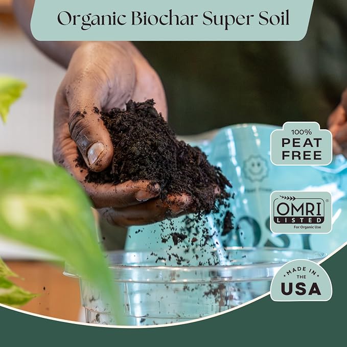 Rosy Soil Plant Parent Essentials Gift Box - Indoor Plant Kit & Gardening Tool Kit | Peat-Free Houseplant Soil, Terracotta Watering Bulb, Soil Scoop, Plant Brush - Gift for Father's Day, Plant Lovers