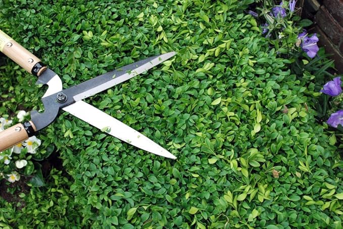 230 Okatsune Cutting Shears, Type 65, 7740ai