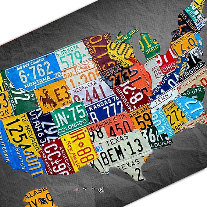 RESKEA Funny Metal Tin Sign Vintage USA Map License Plate Sign Garage Decor 8x12 Inches Multicolor Retro Humorous Wall Art