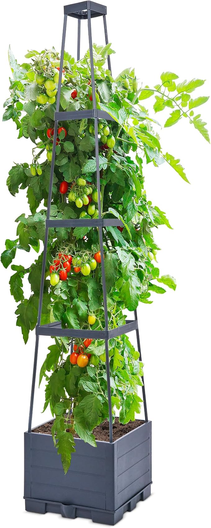 GENMOUS 4 Tiered Tomato Planter with Box Trellis, 56'' Raised Garden Bed Planter Boxes, Tomato Cages for Garden Patio Climbing Plants Vegetable Vine Flowers Outdoor & Indoor（1 Pack)