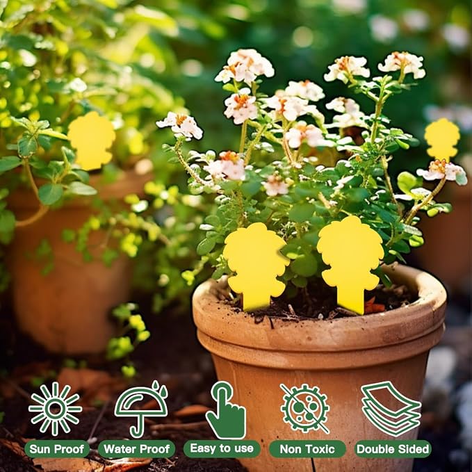 58 Pack Yellow Sticky Gnat Traps for Plants - Fungus Gnat Killer, Fruit Fly Traps for Indoors, Gnat Sticky Traps for Plants, Family Friendly Design, Ice Cream Shape