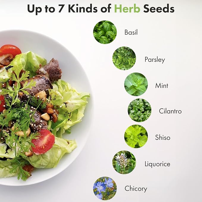 12 Pods Herb Seed Pod Kit for AeroGarden, iDOO, Ahopegarden - Compatible with All Hydroponic Indoor Garden System, 350+ Seeds Includes Basil, Parsley, Mint, Cilantro, Shiso, Liquorice and Chicory
