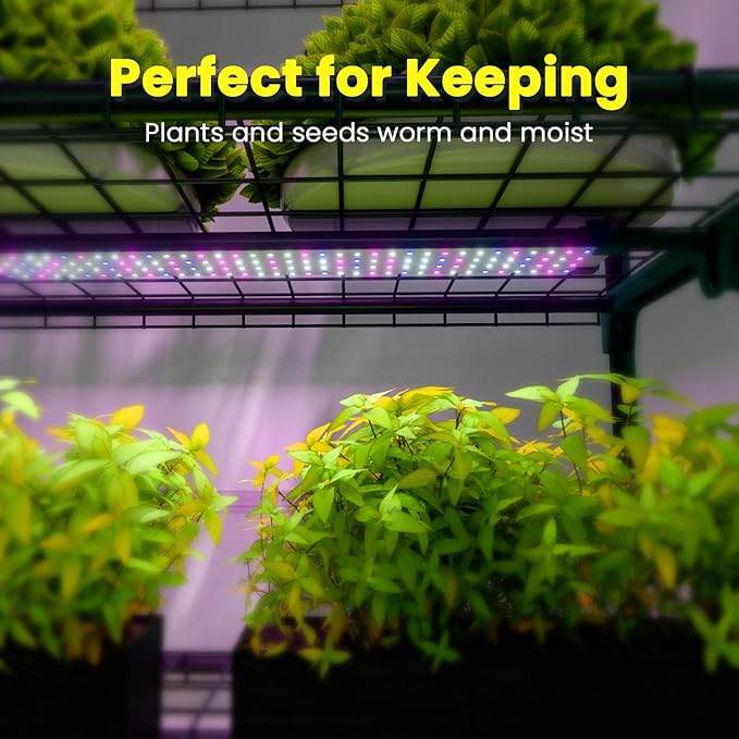 Indoor Greenhouse with Grow Lights, 4 Tier 27" L×19" W×62" H Mini Greenhouse with Zippered PVC Cover for Seed Starting Trays, Dimmable 2FT 60W Plant Light for Indoor Plants with Timer