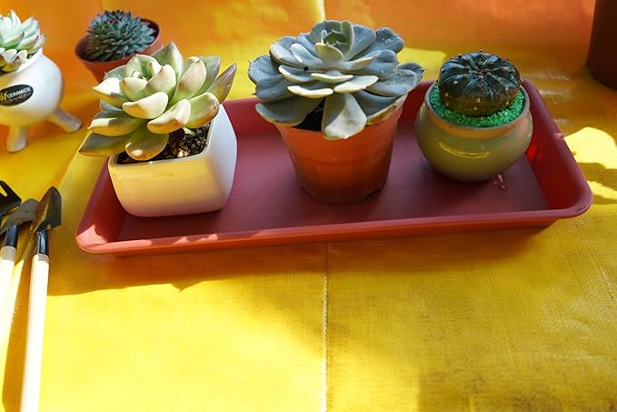 VUWEZ 2 Pack Plastic Plant Trays - Rectangular 17 18 inch, Indoor/Outdoor Plant Water Drip Trays for Flower Planters, Windowsill (7.8 x 17.5'', Terracotta)