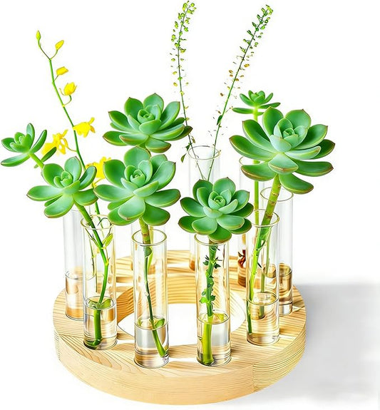 Melphoe Glass Bud Vases Small Flower Vase for Centerpieces Wedding Table Decorations, Home Decor, Propagation Station Plant Terrarium with Wooden Stand, Unique Plant Lover Gifts for Women (Beige)