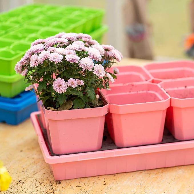 Bootstrap Farmer 1020 Trays, 10 Pack, Pink - Heavy-Duty 2.5" Deep Flats Without Holes for Microgreens, Fodder, Hydroponics