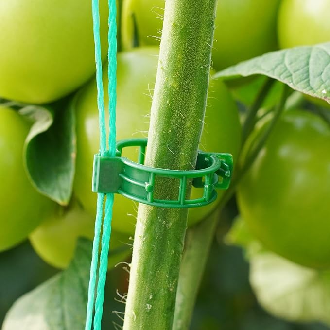 CIQIYO® 300 Pcs Plant Support Clips,Plastic Clips for Securing Plants,Tomato Vine Clips,Plant Fixing Clips,Garden Clips for Climbing Plants,Grape and Vine Vegetables (300, Green)