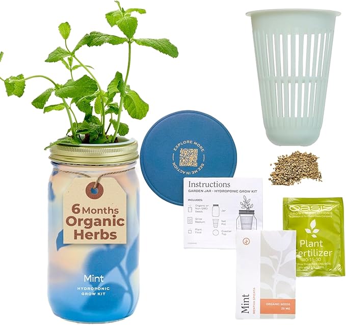 Modern Sprout Mason Garden Jar - Self-Watering Hydroponics Growing System Kit with Organic Herb Seeds - Jar Planter for Indoor Herb Garden - Seed Starter Kit - Home Decor - Gift for Mother's Day -Mint