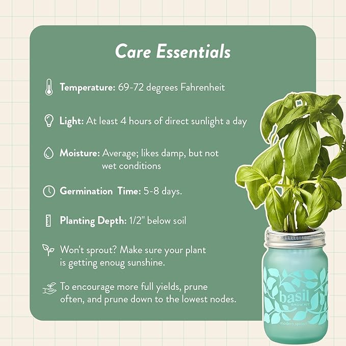 Modern Sprout Mason Garden Jar - Self-Watering Hydroponics Growing System Kit with Organic Herb Seeds - Jar Planter for Indoor Herb Garden - Seed Starter Kit -Home Decor & Gifting -Mint+Rosemary+Poppy