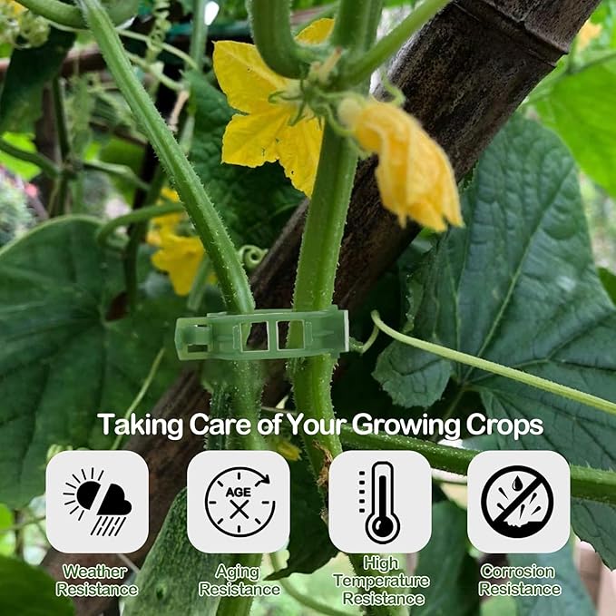 100 Pcs Plant Support Clips, Secure Plastic Plant Clips for Support Grape Vine, Tomato Clips for String Trellis to Grow Upright and Healthier, Garden Clips Outdoor Indoor Use(Green)